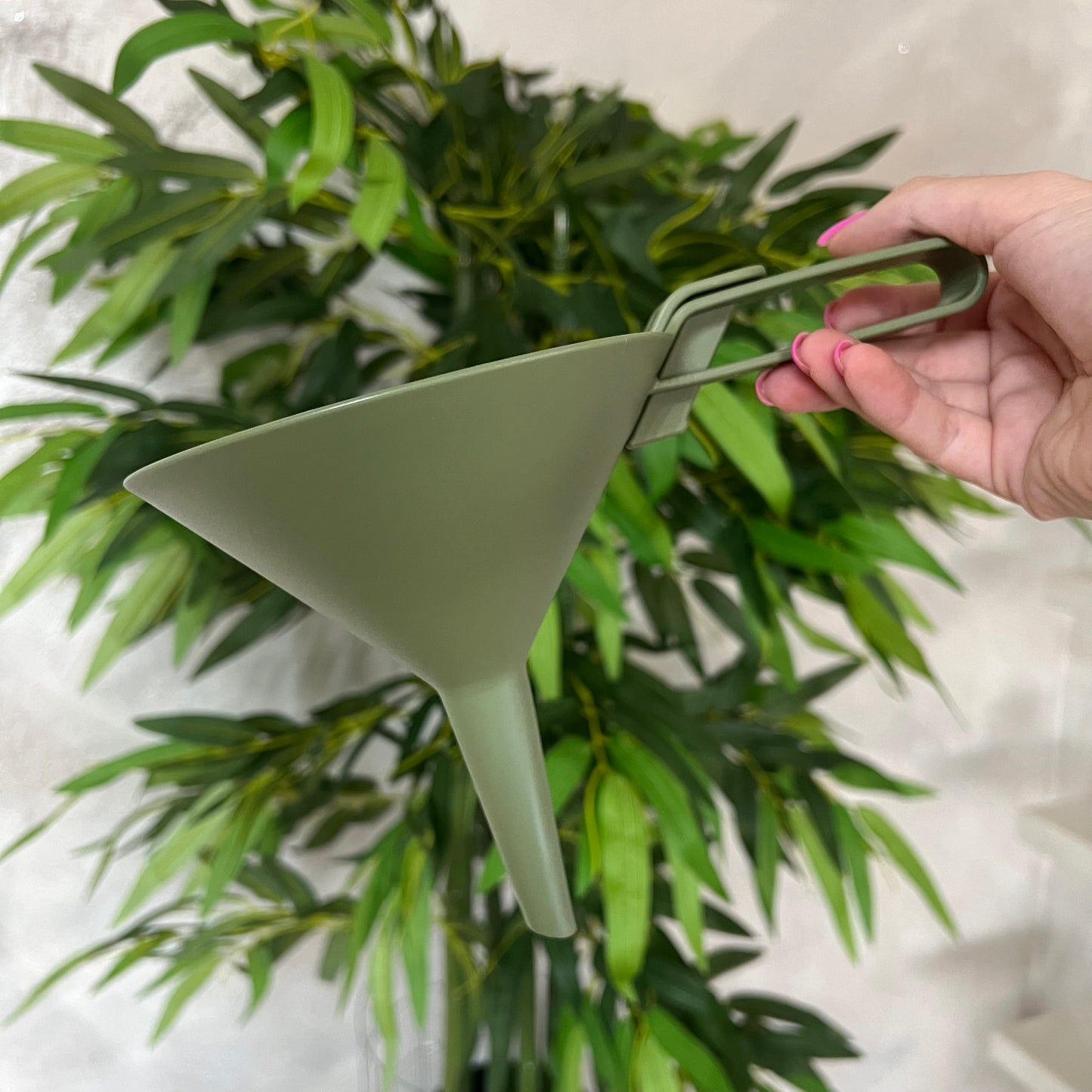 Imbuto Dolina Forest