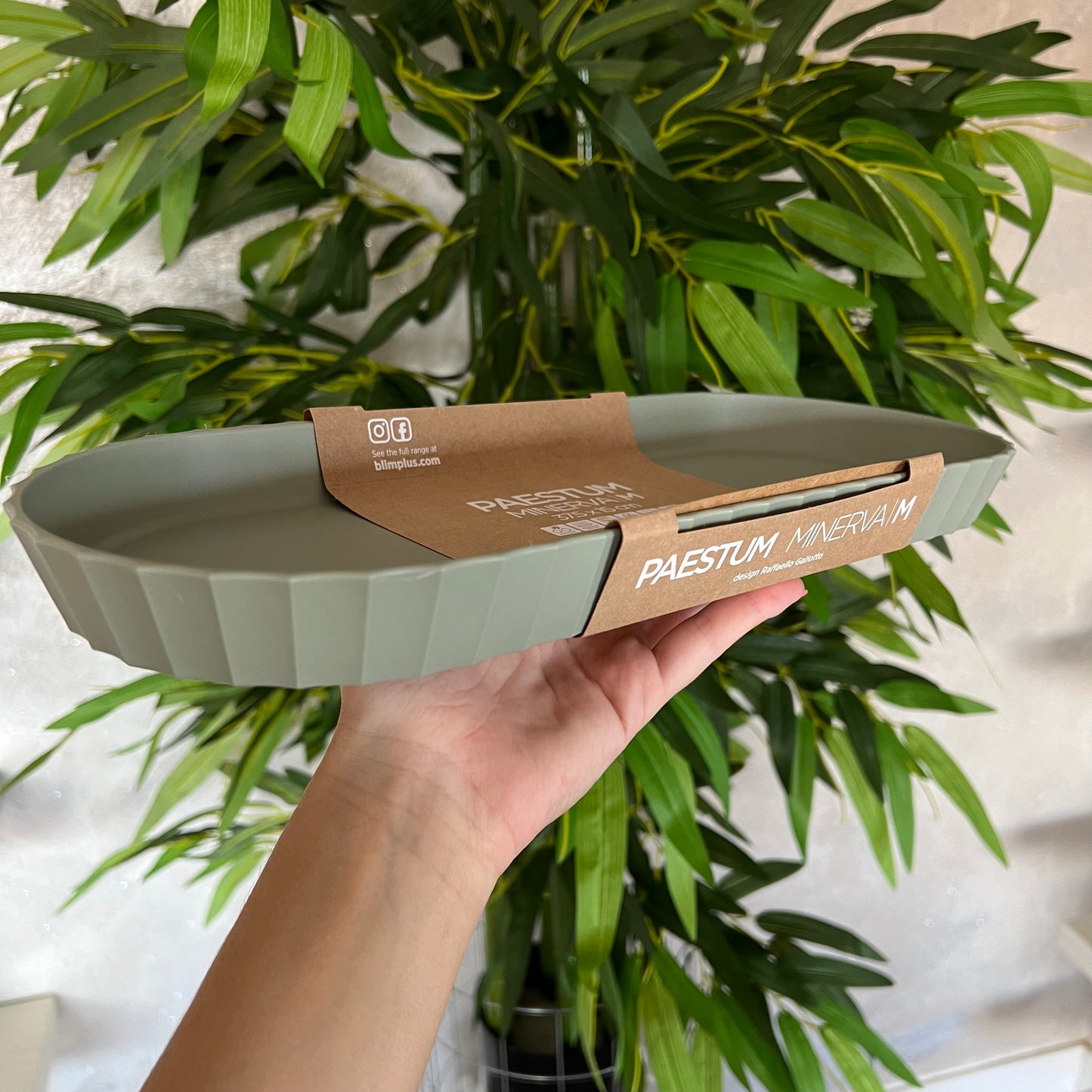 Vassoio Minerva M Forest