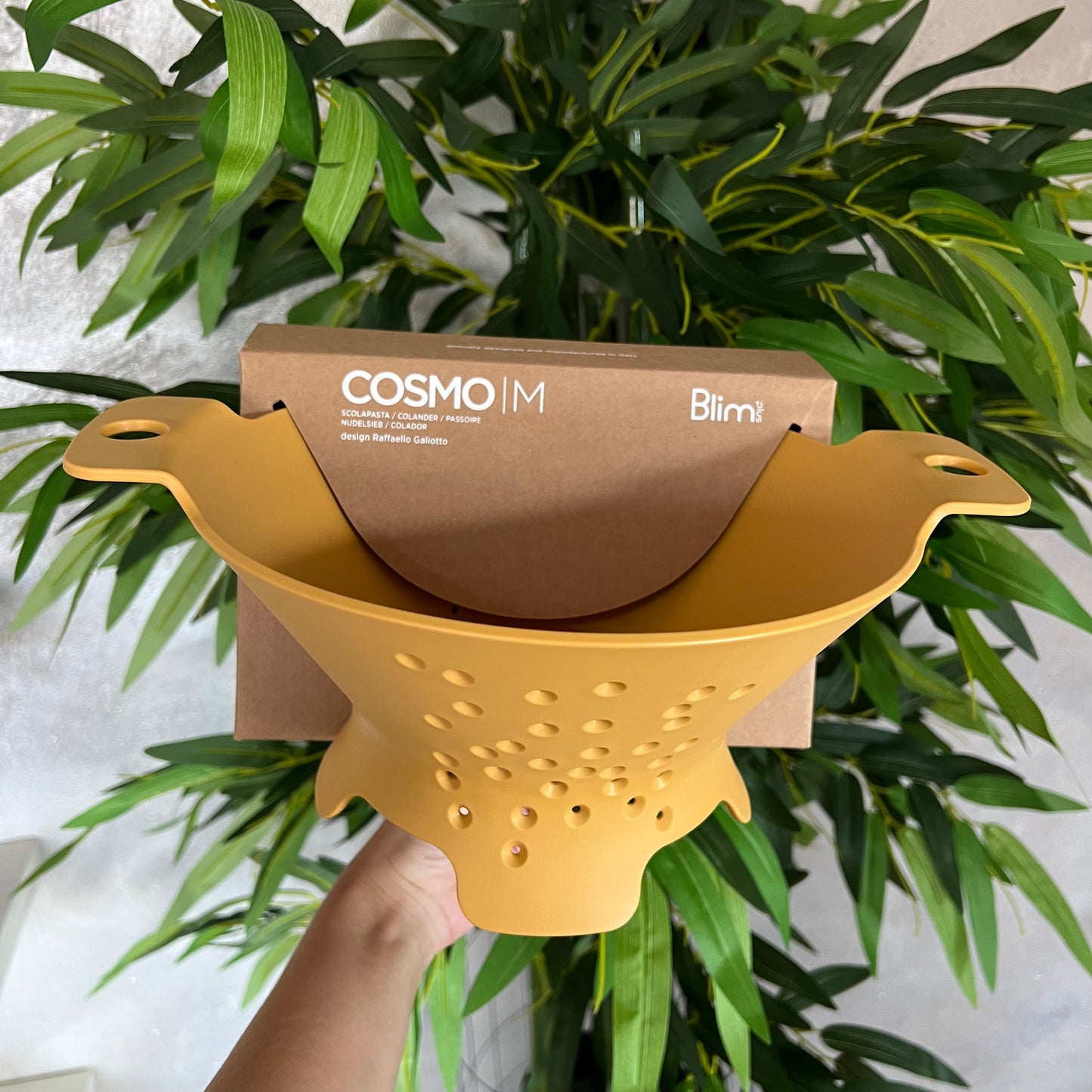 Scolapasta Cosmo Desert