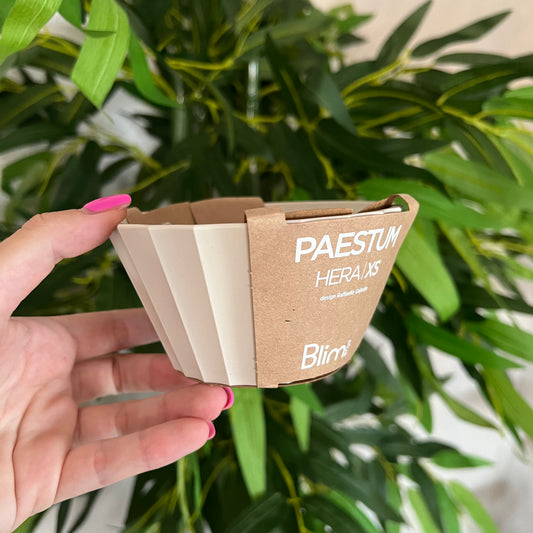 Ciotola Hera XS Brown Sugar