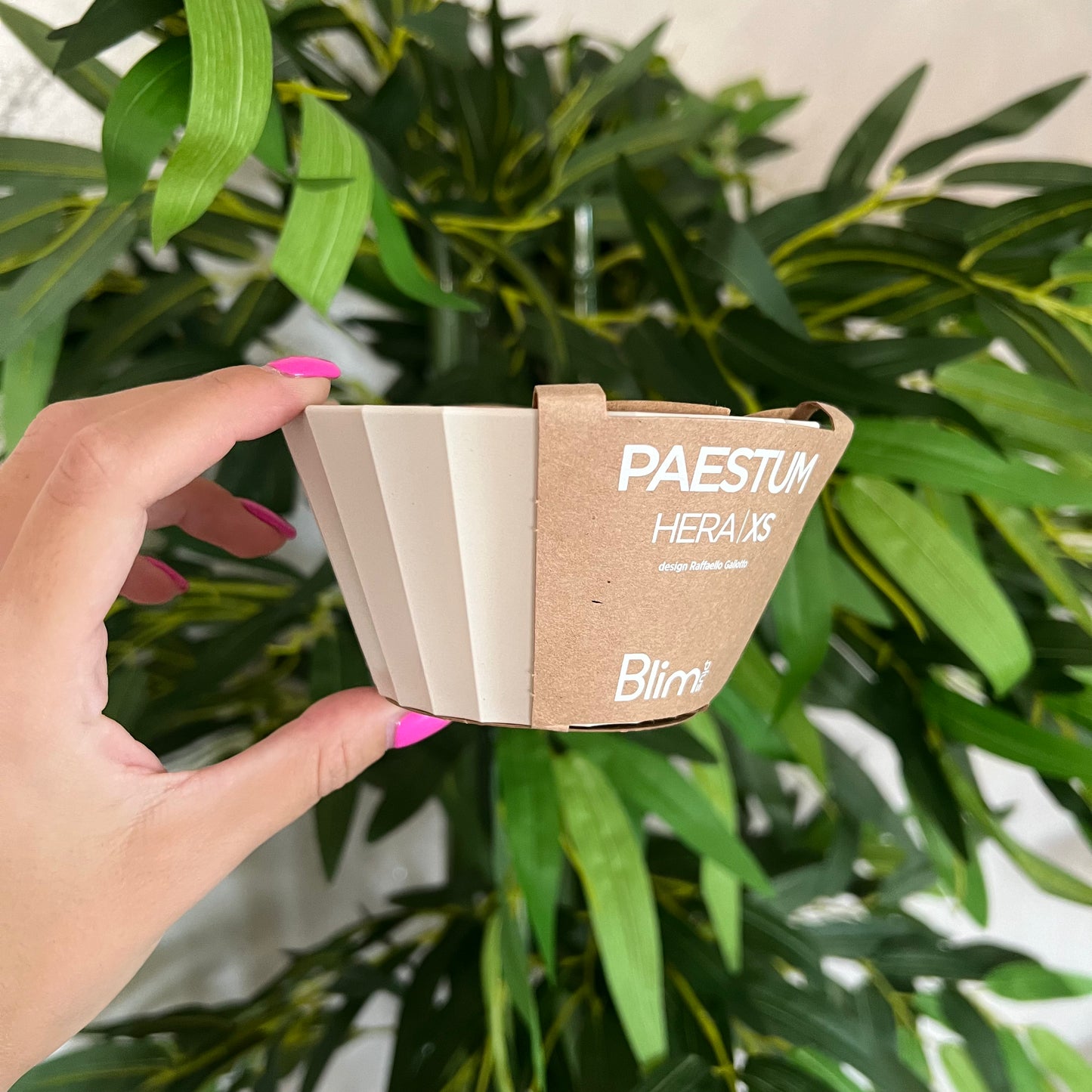 Ciotola Hera XS Brown Sugar