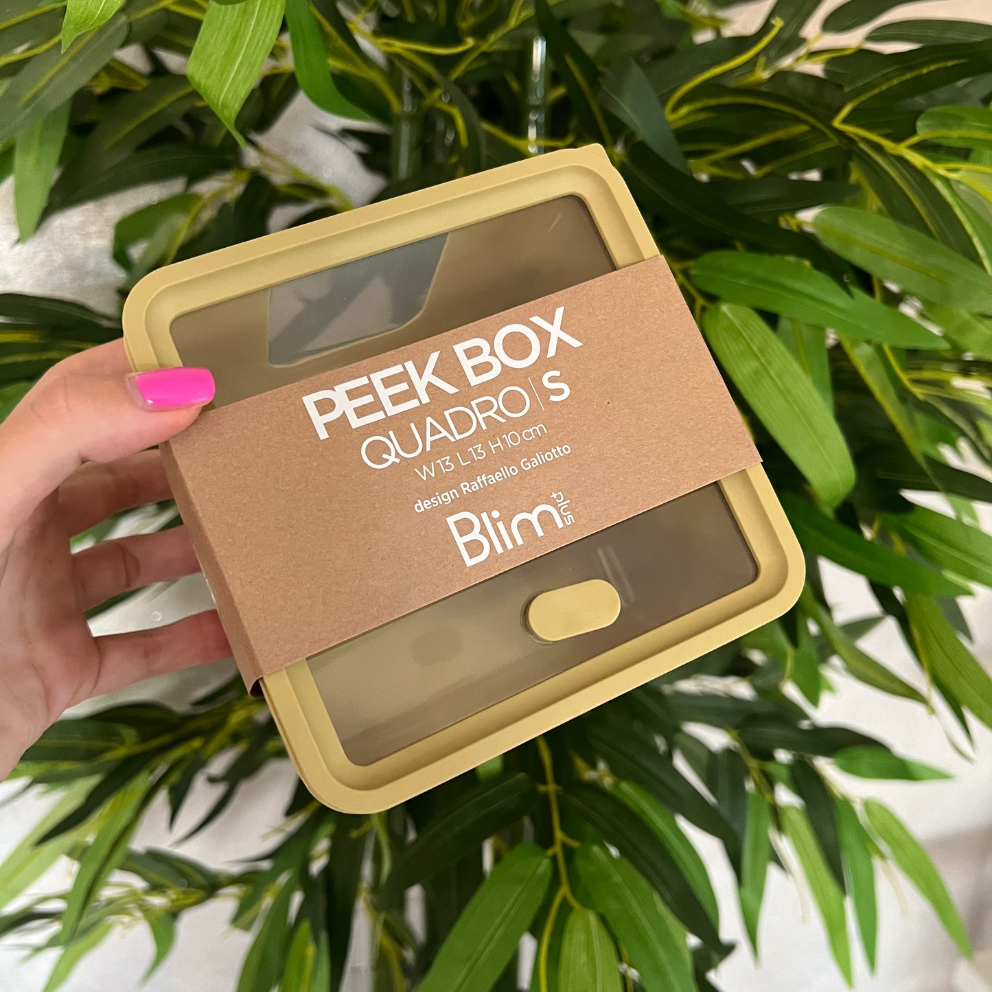 Contenitore Peek Box Quadro S Citrus