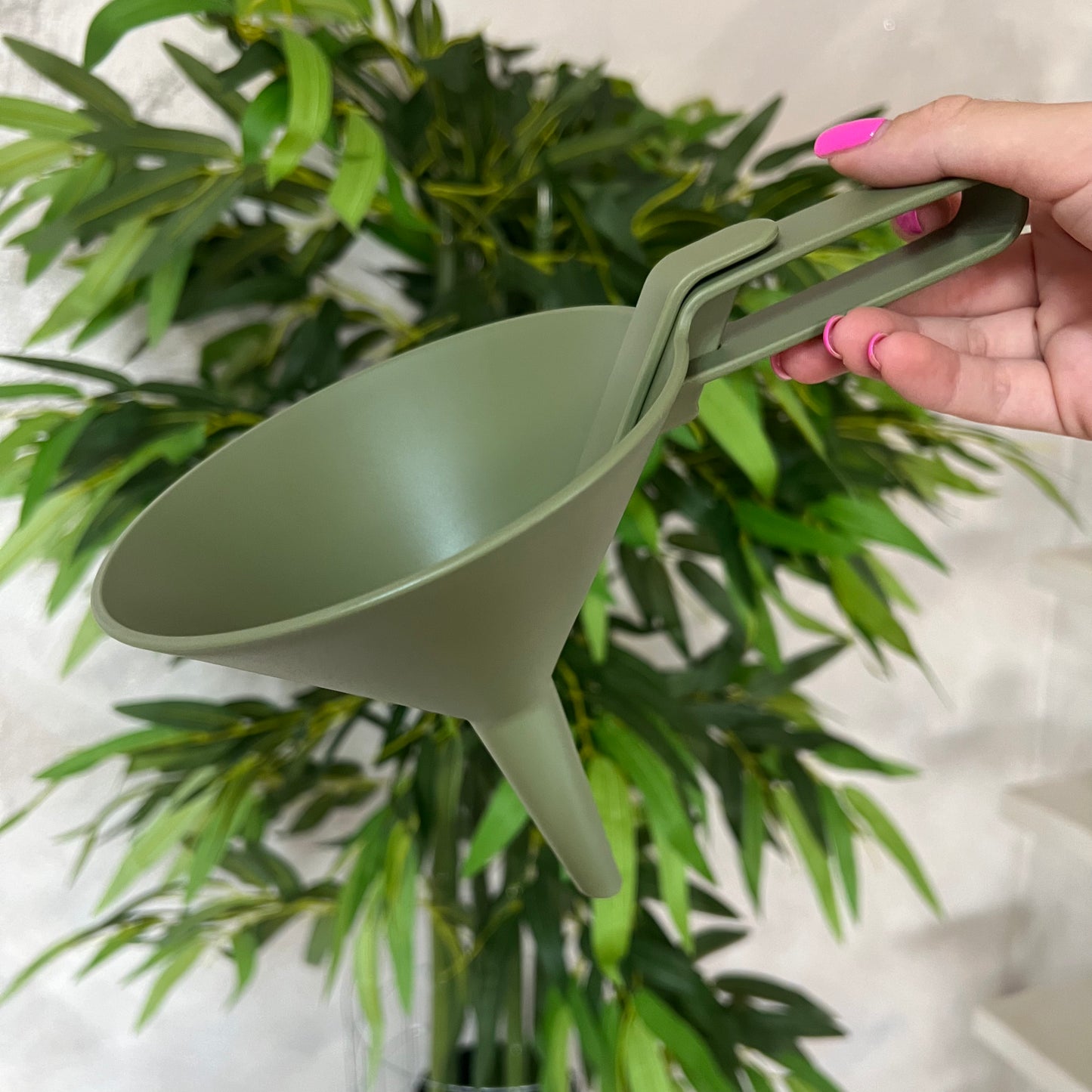 Imbuto Dolina Forest