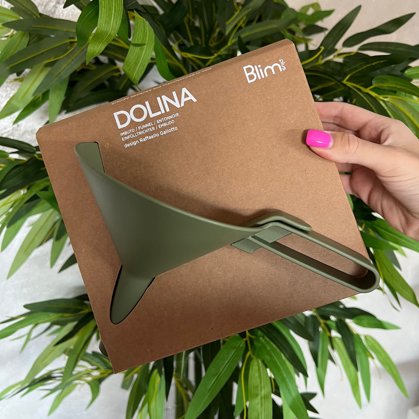 Imbuto Dolina Forest