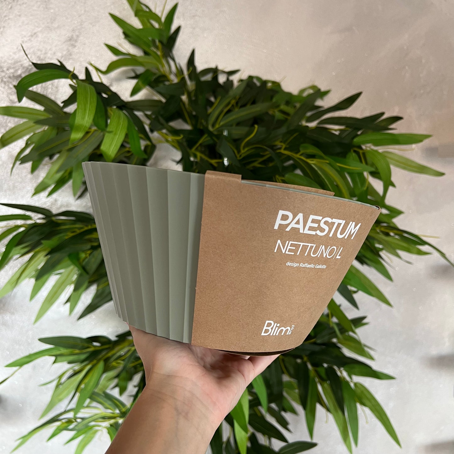 Ciotola Nettuno L Forest