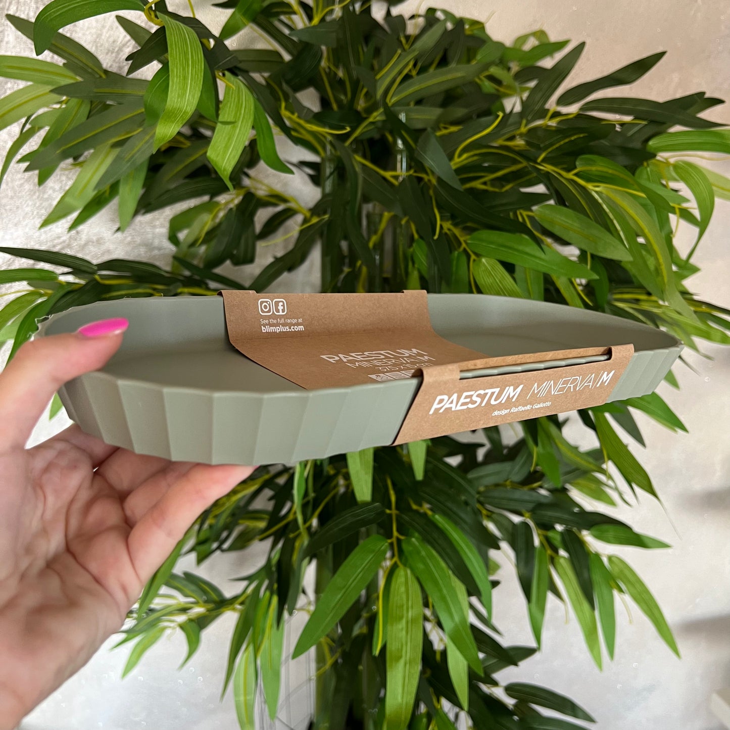 Vassoio Minerva M Forest