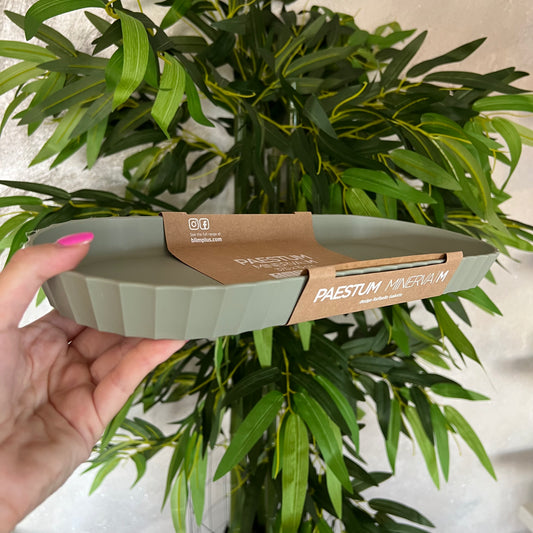 Vassoio Minerva M Forest
