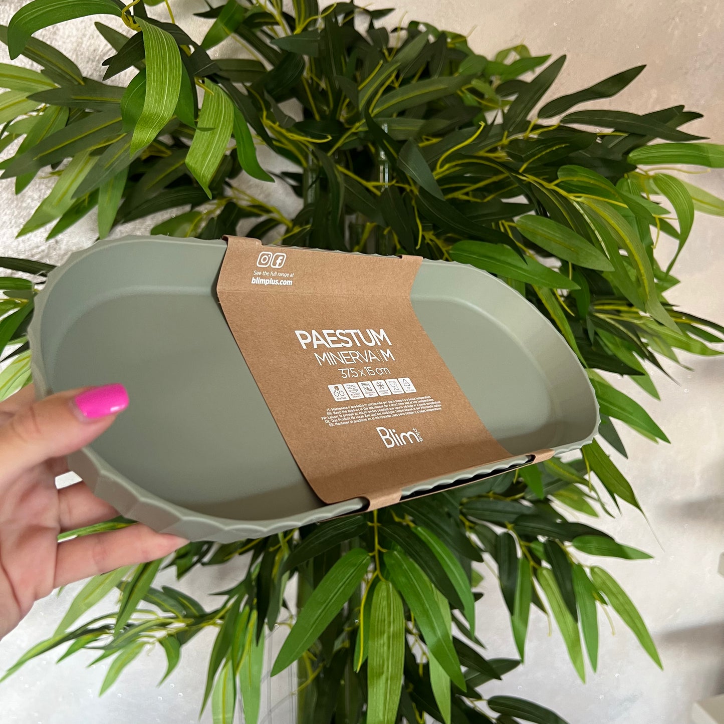 Vassoio Minerva M Forest