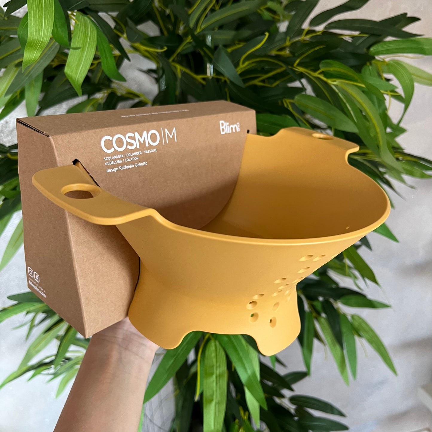 Scolapasta Cosmo Desert