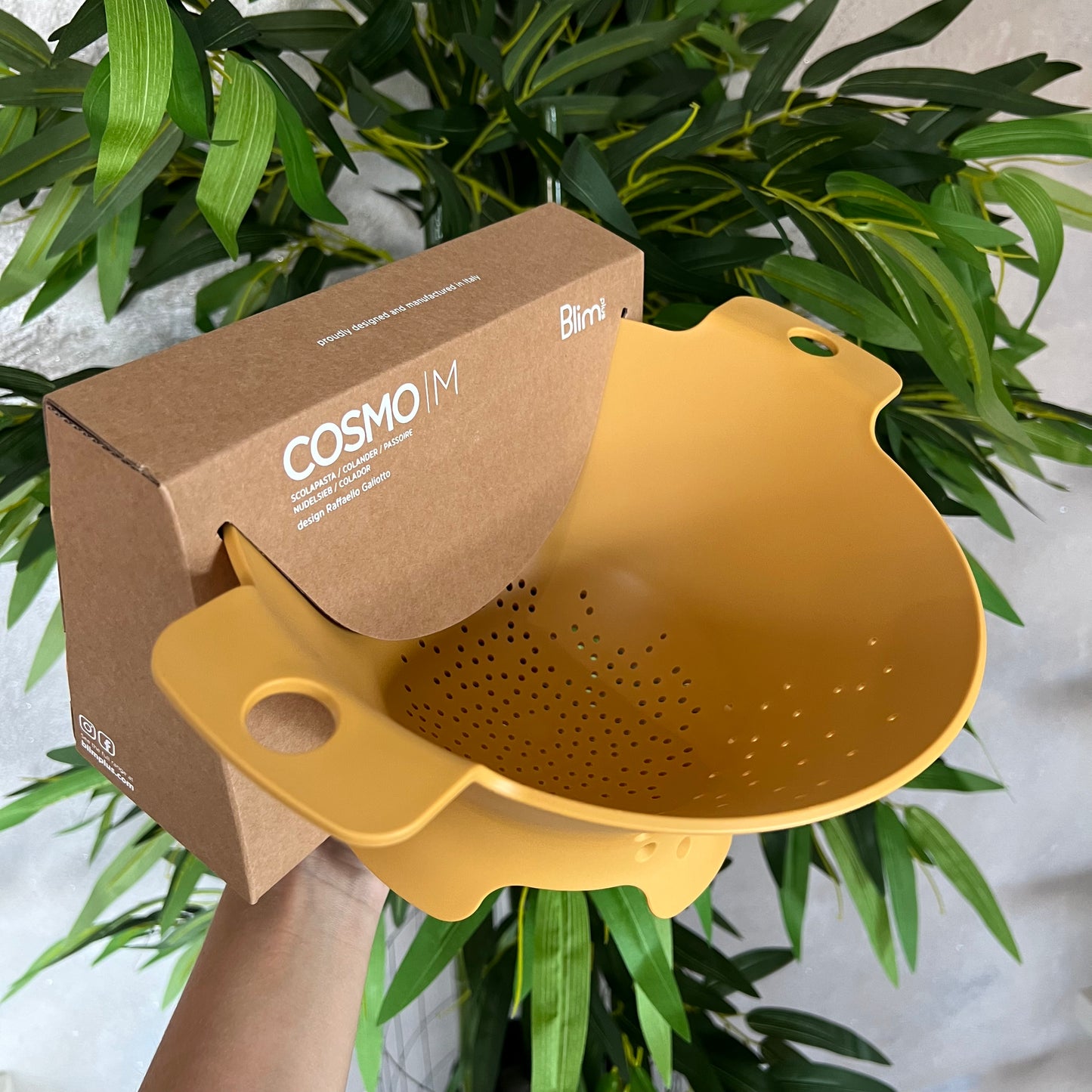 Scolapasta Cosmo Desert