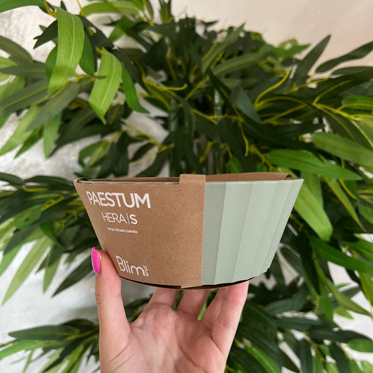 Ciotola Hera S Forest