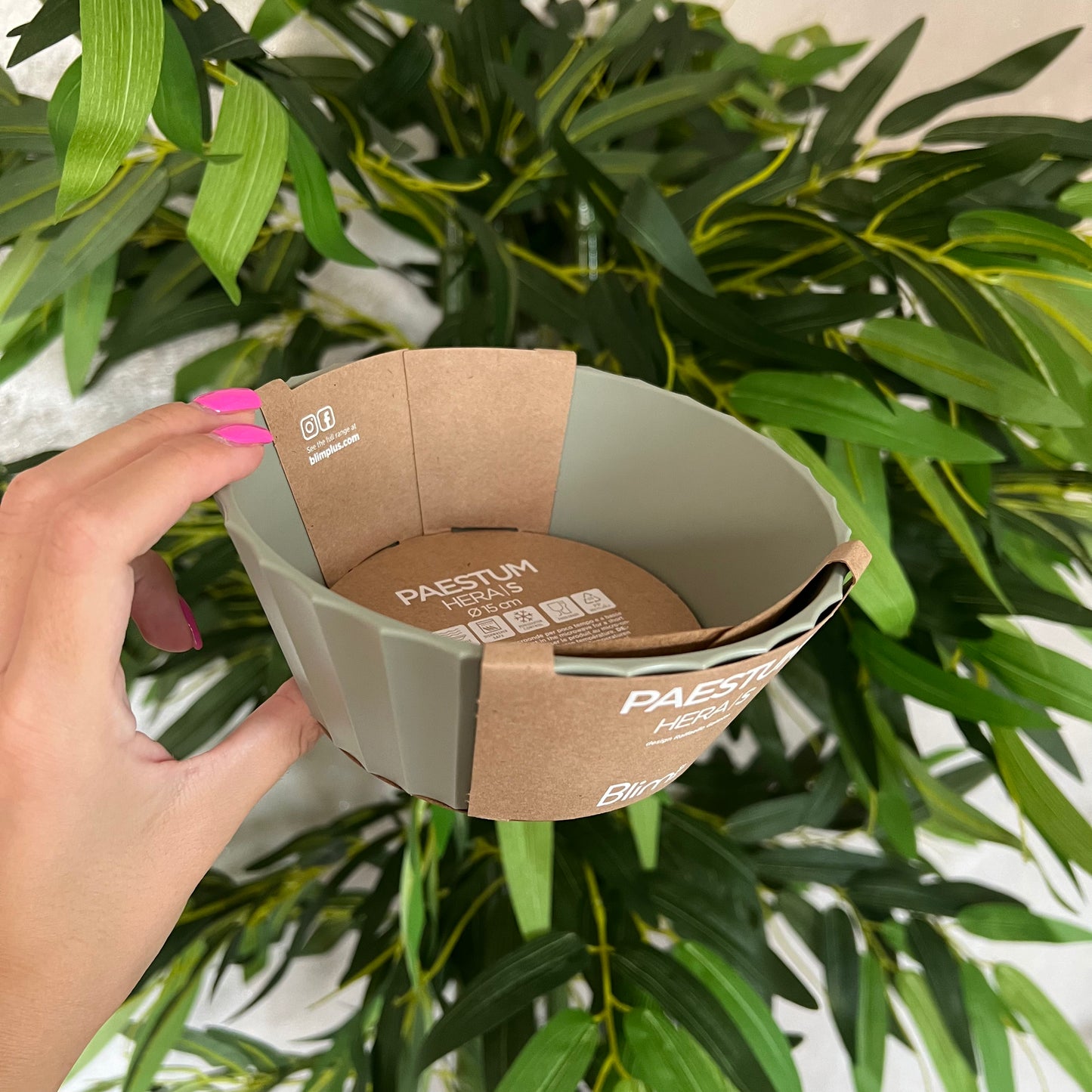 Ciotola Hera S Forest