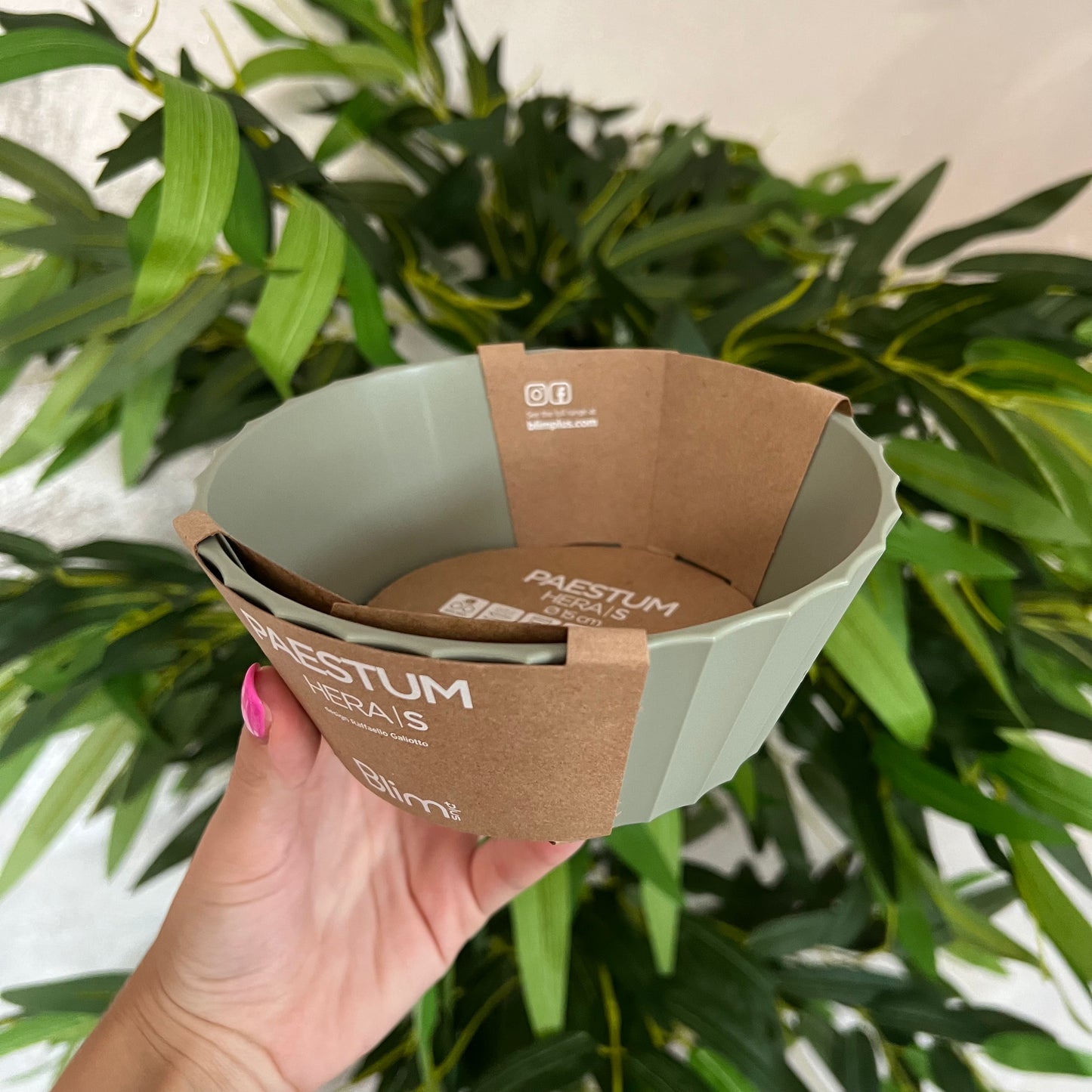 Ciotola Hera S Forest