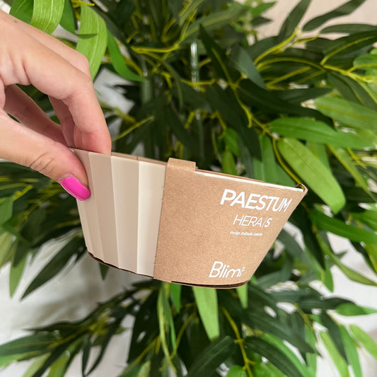 Ciotola Hera S Brown Sugar