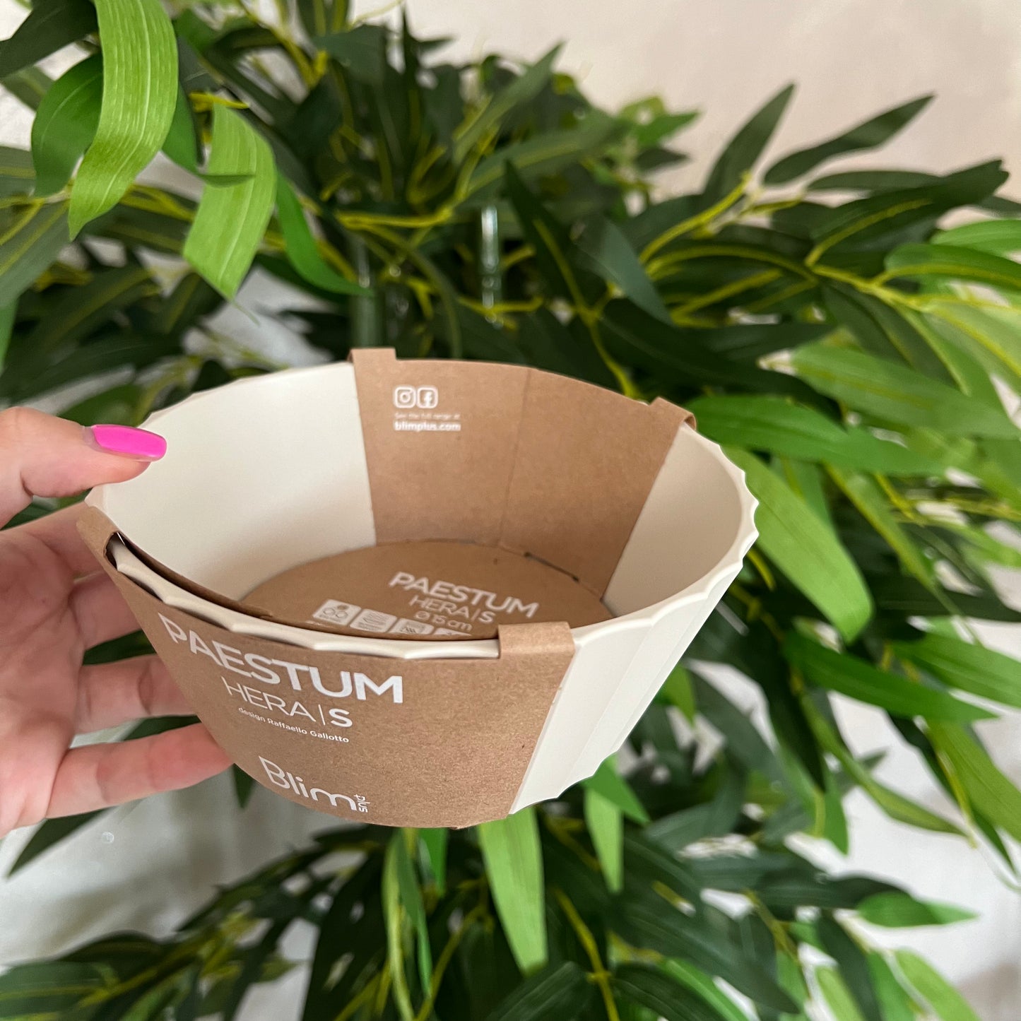 Ciotola Hera S Brown Sugar