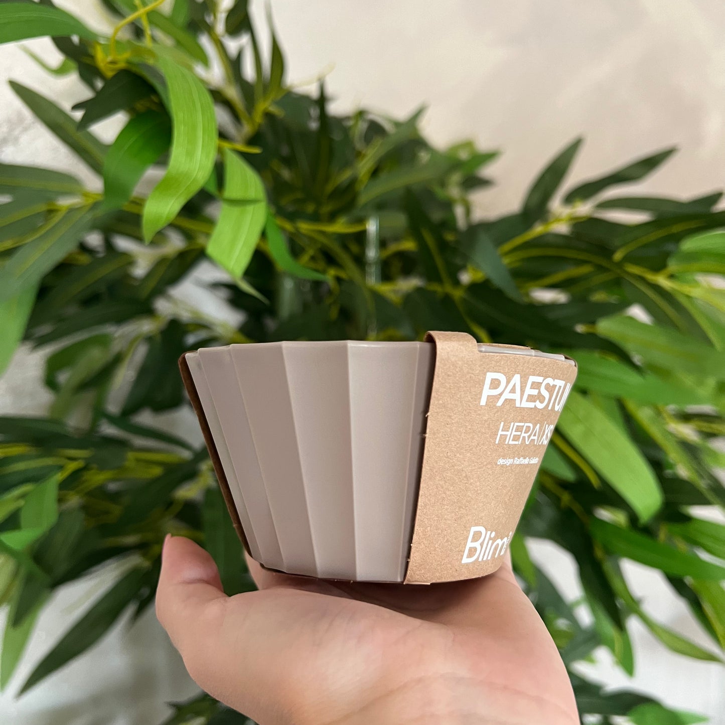 Ciotola Hera XS Moka Grey