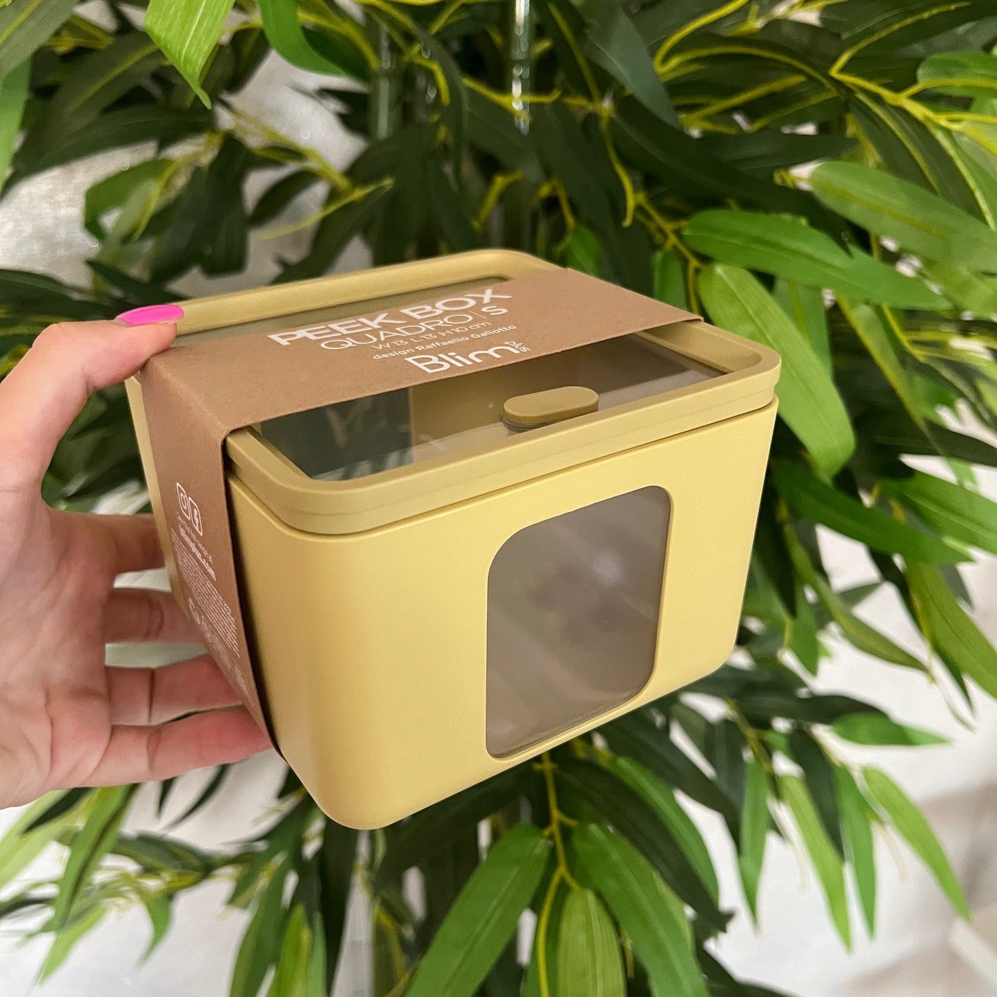 Contenitore Peek Box Quadro S Citrus