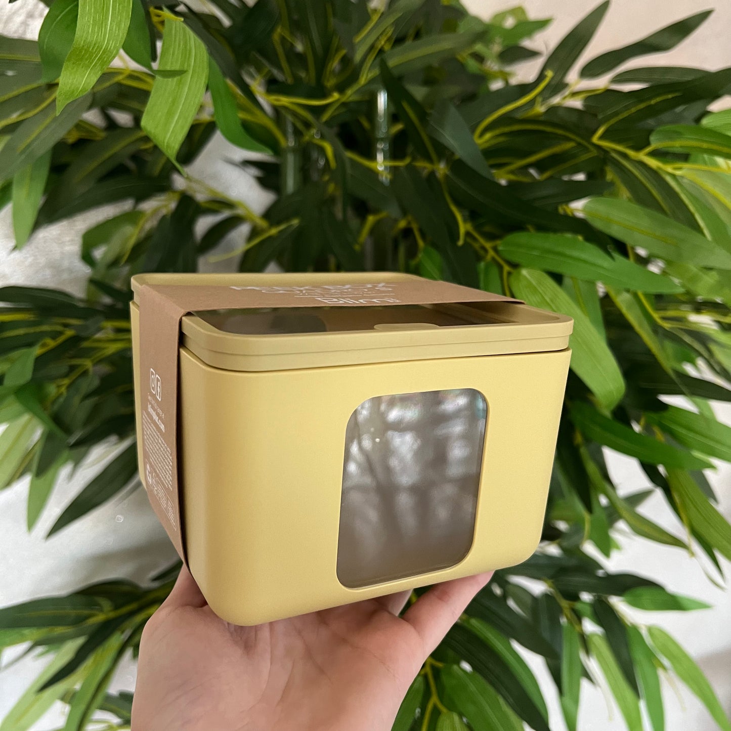 Contenitore Peek Box Quadro S Citrus