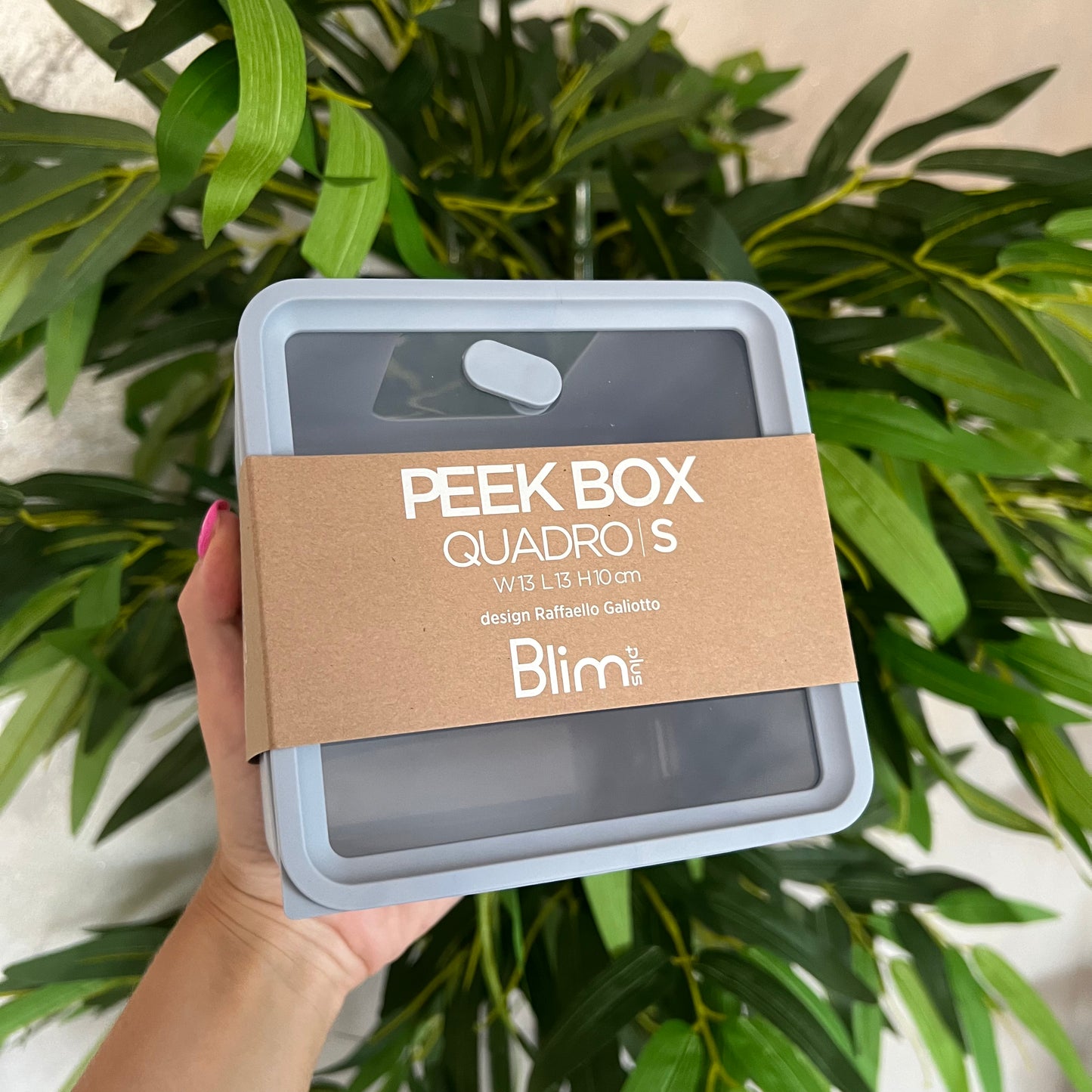 Contenitore Peek Box Quadro S Dolphin