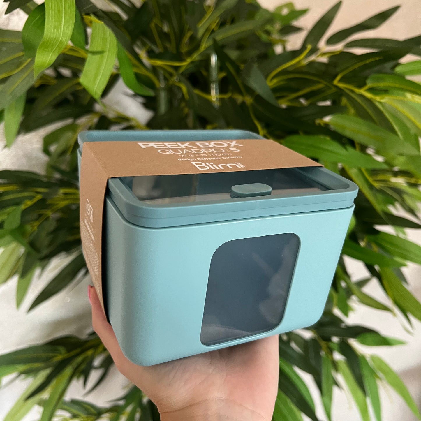 Contenitore Peek Box Quadro S Teal